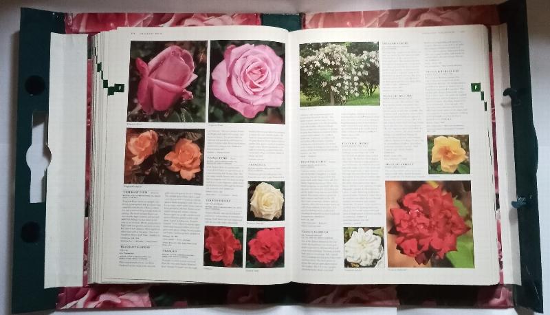 Botanica's Roses : The Encyclopedia of Roses